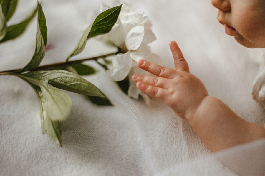 Análise de Produtos – Os melhores perfumes para bebés
